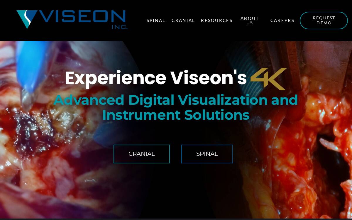Viseon website preview