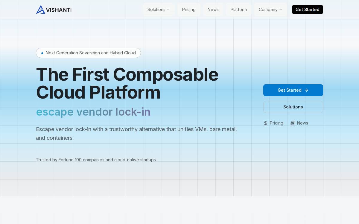 Vishanti website preview