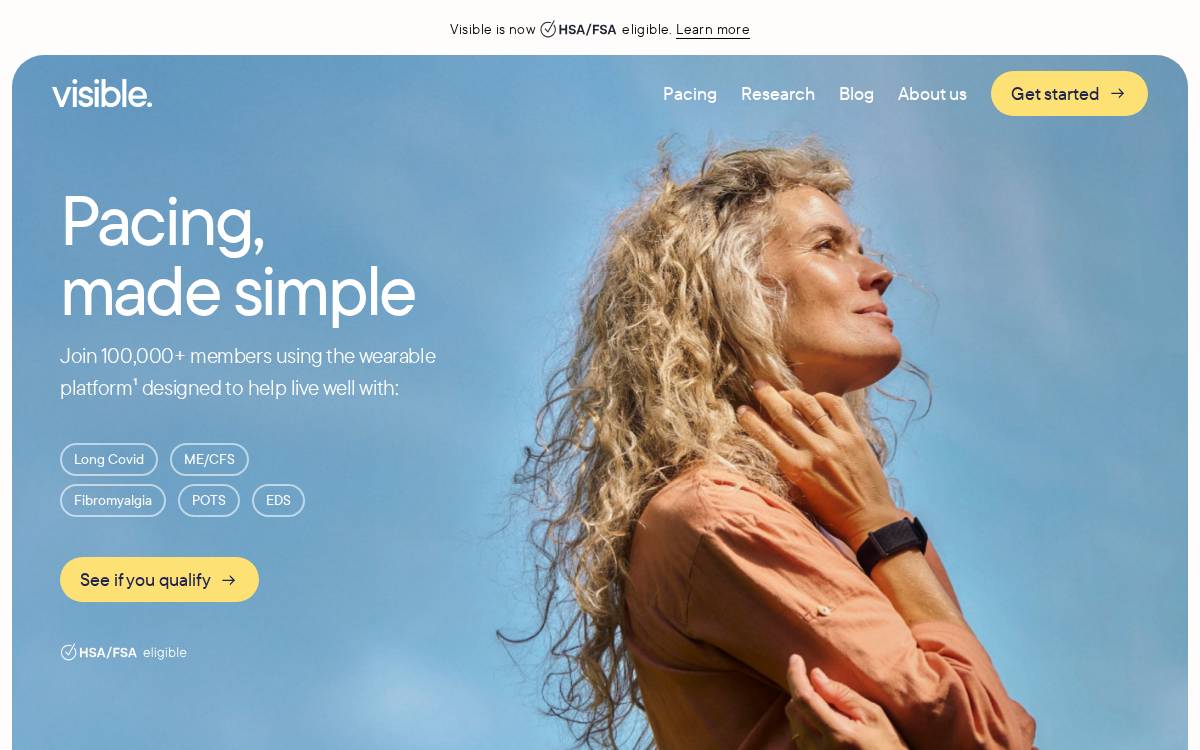 Visible website preview