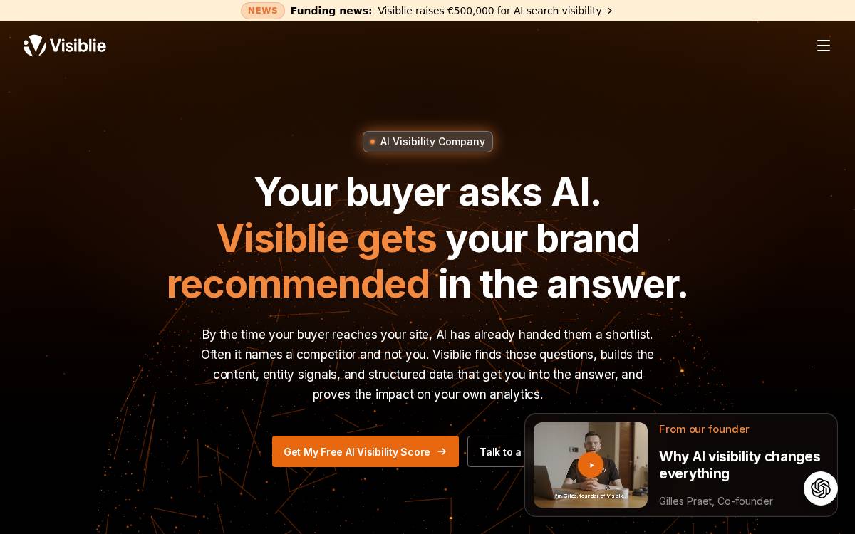 Visiblie website preview
