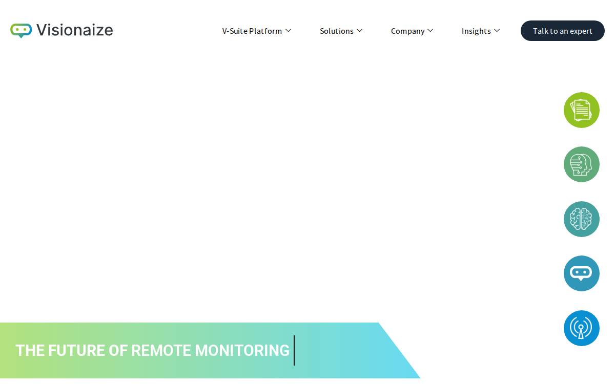 Visionaize website preview