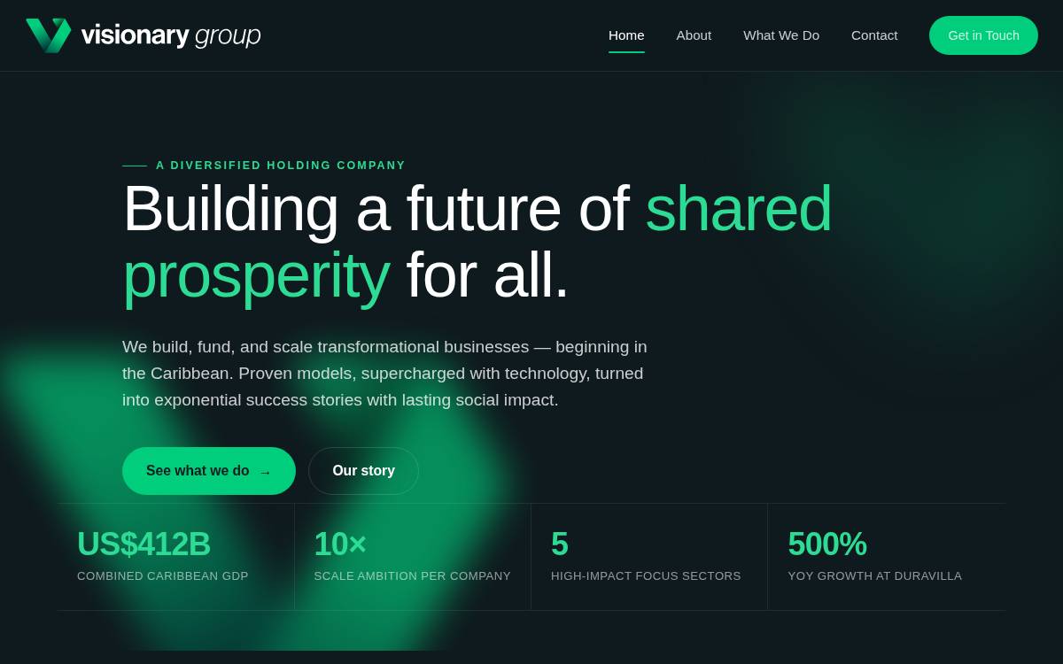 Visionary website preview