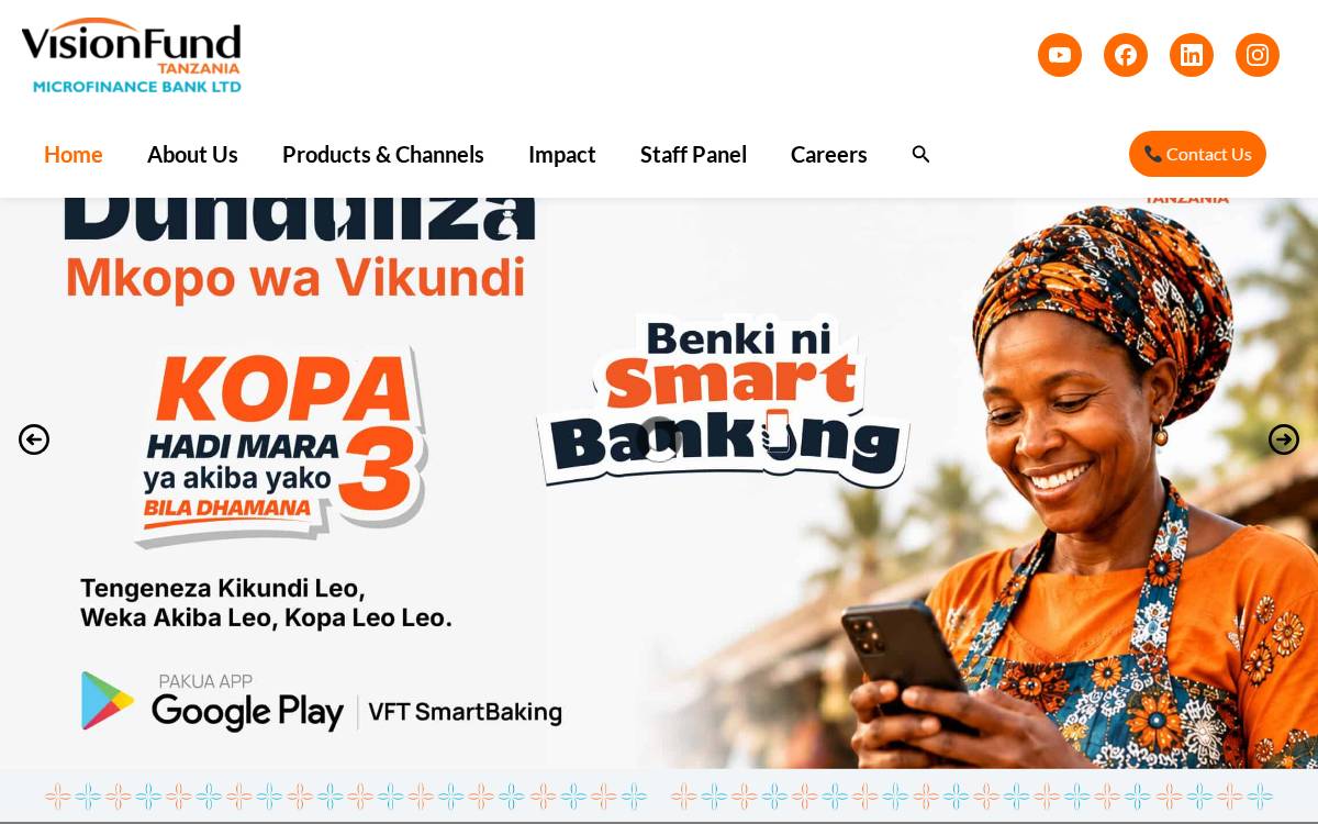 VisionFund Tanzania website preview