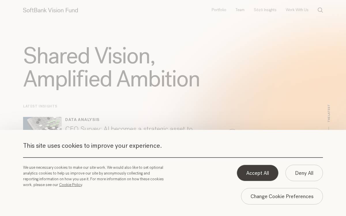 Visionfund website preview