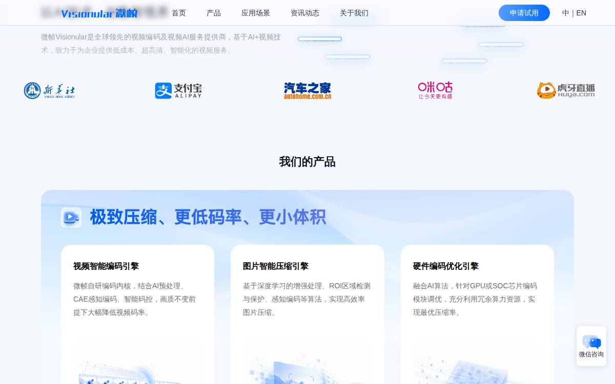 Visionular website preview