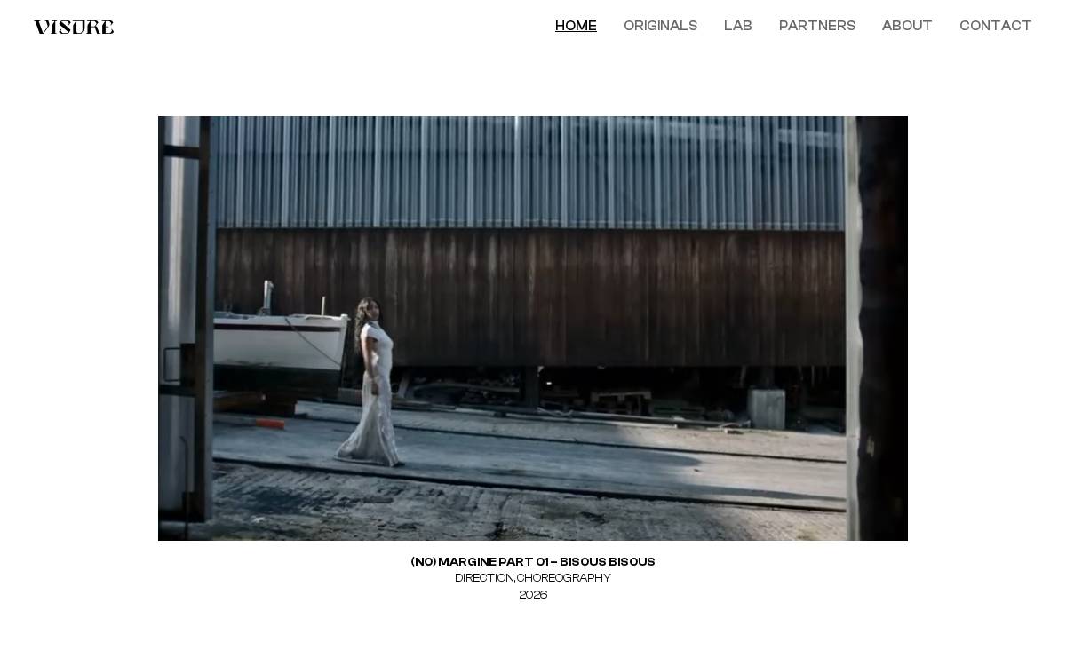 Visorelab website preview