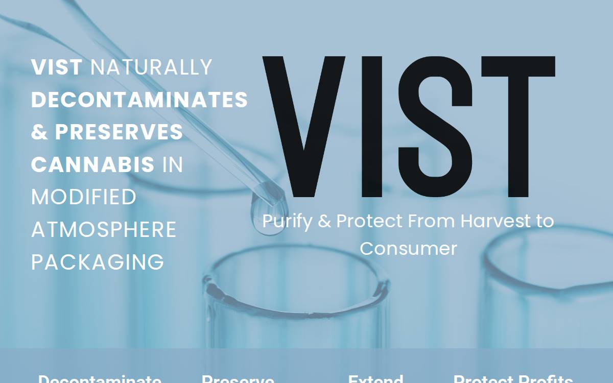 VIST Labs website preview