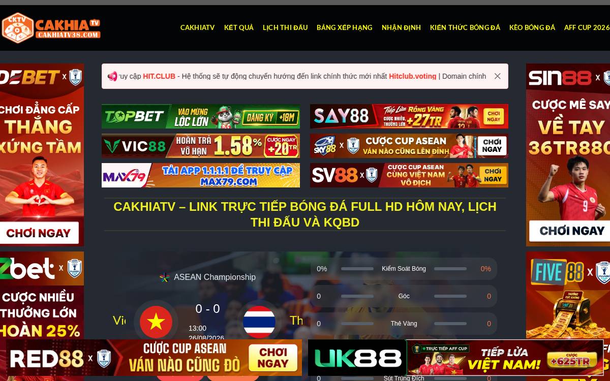 Vista website preview