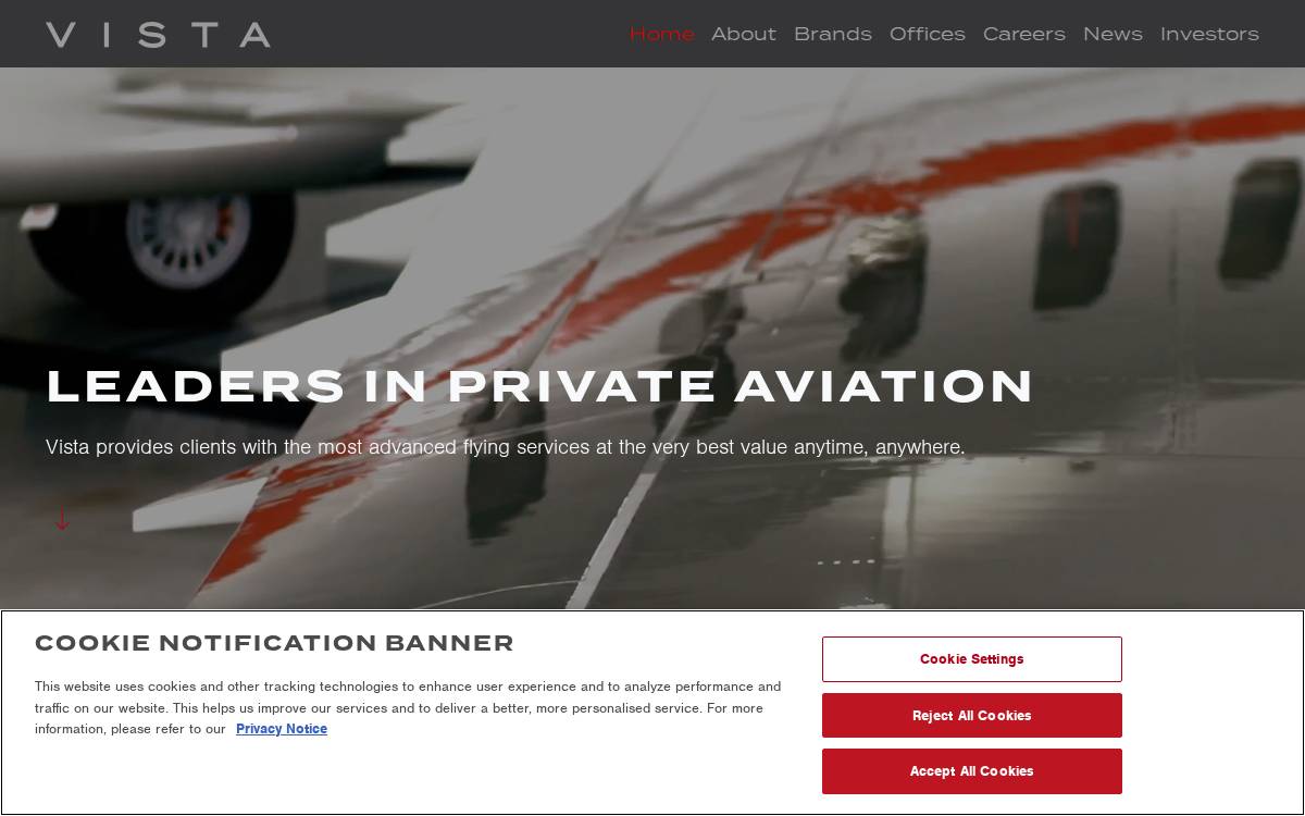 Vista Global website preview