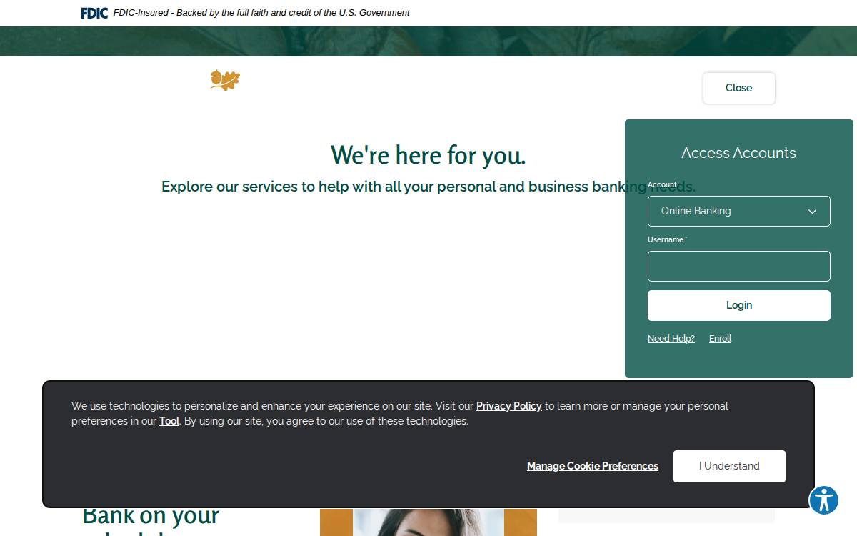 Vistbank website preview