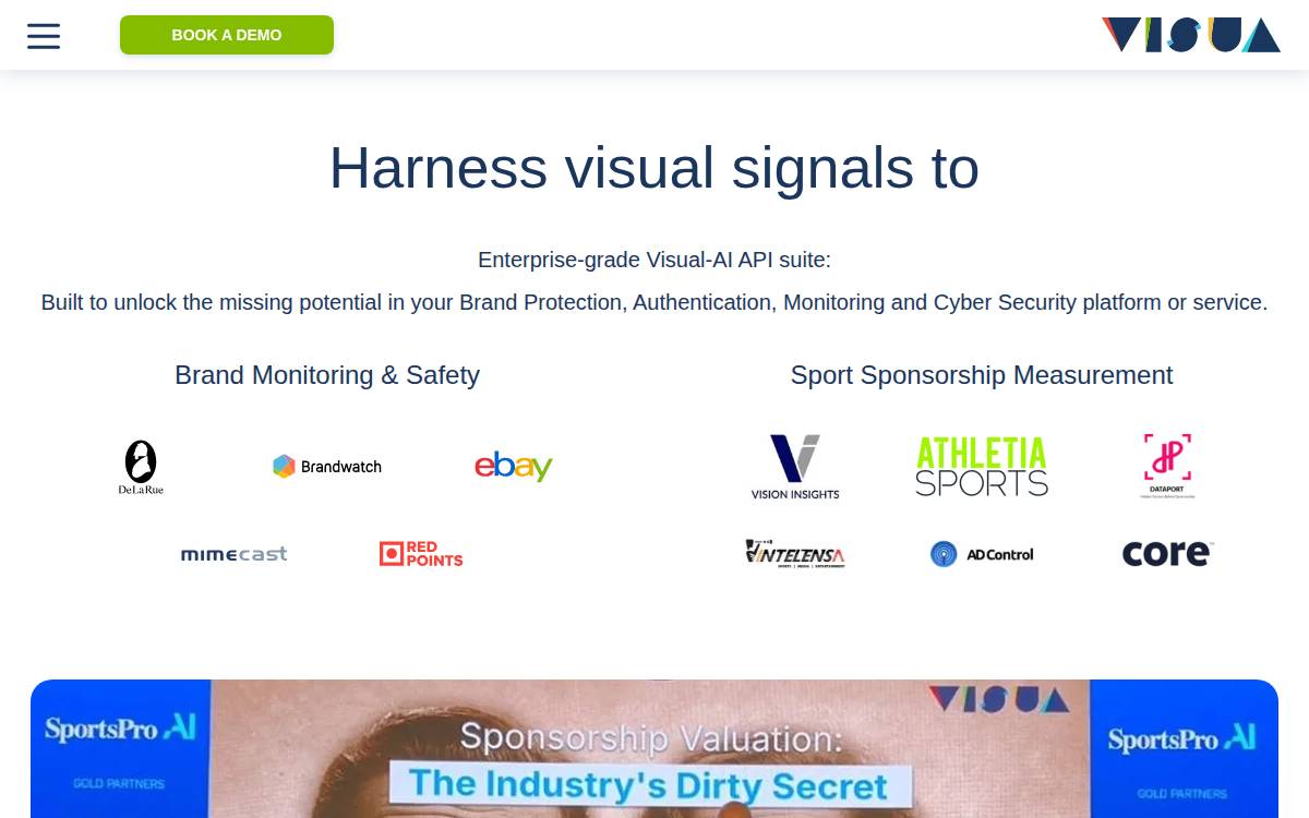 Visua website preview