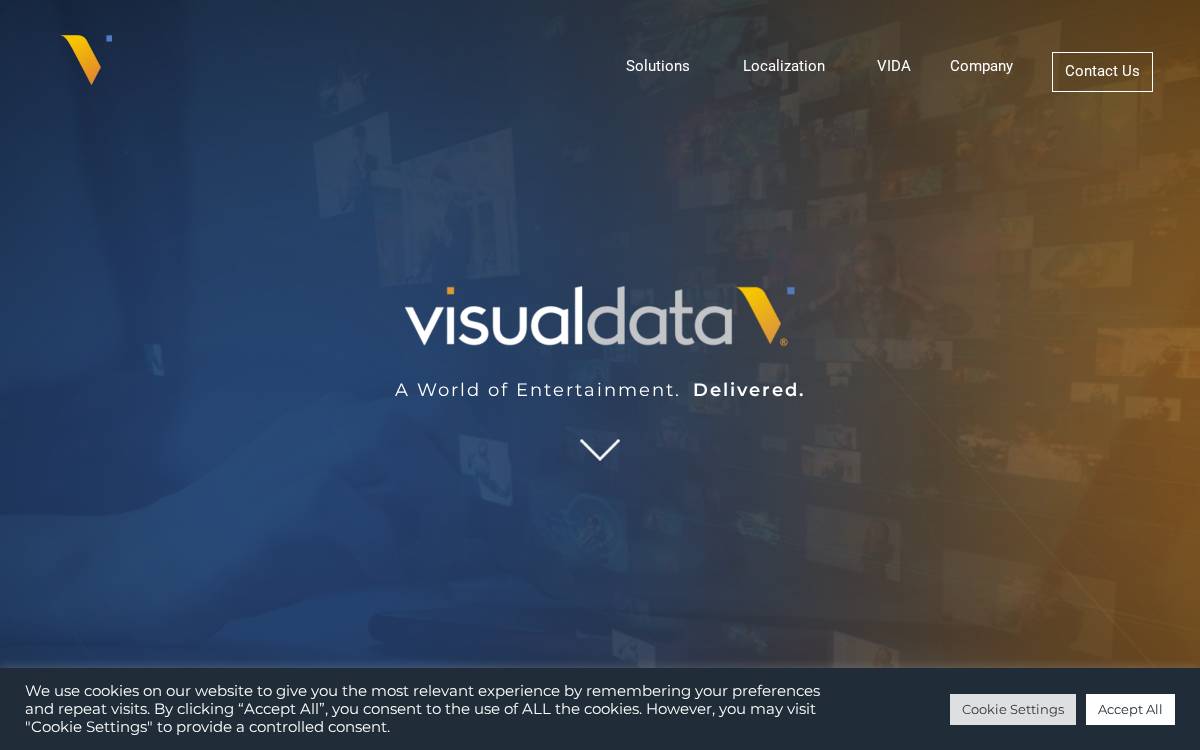 Visual Data Media Services website preview
