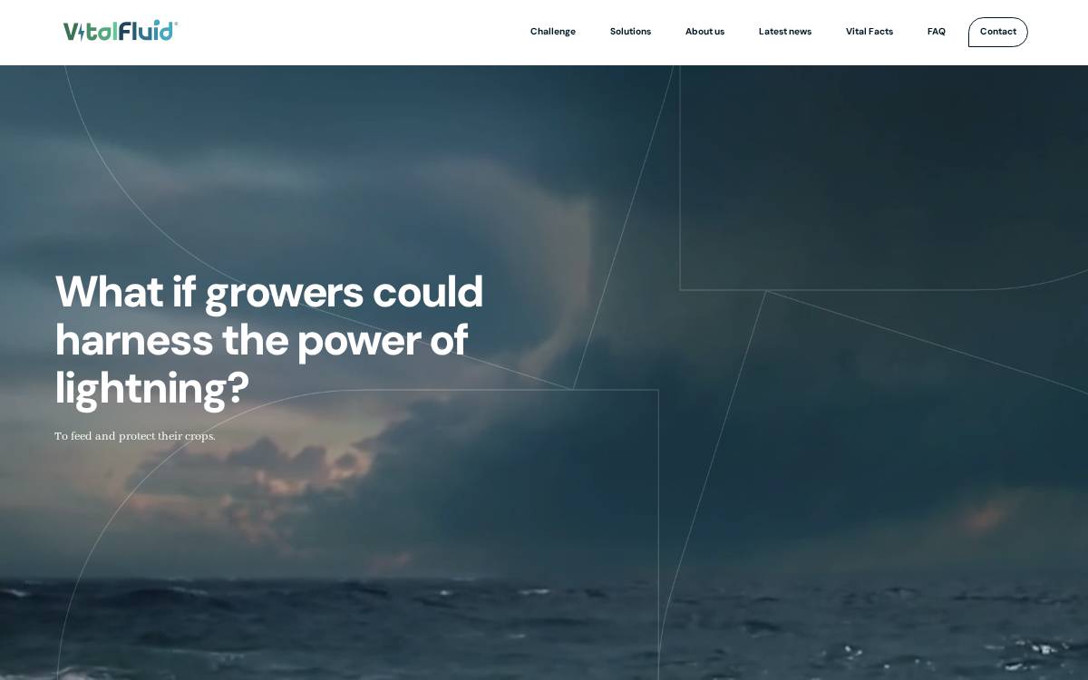 Vitalfluid website preview