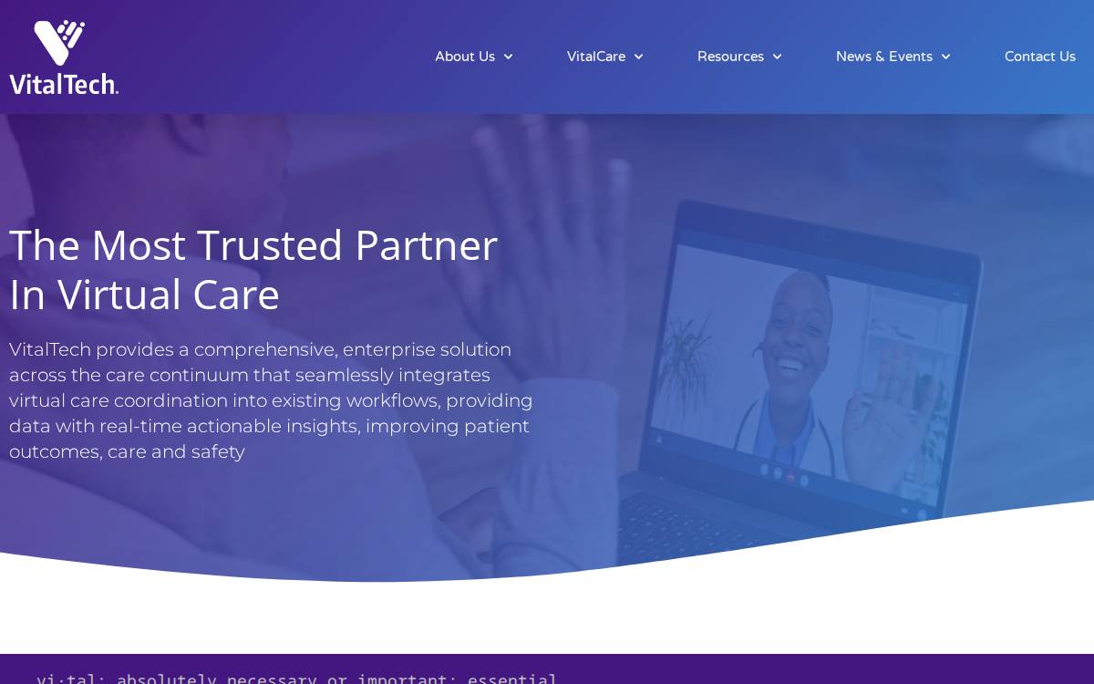 Vitaltech website preview