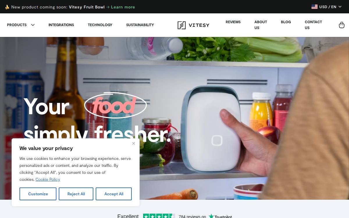 Vitesy website preview
