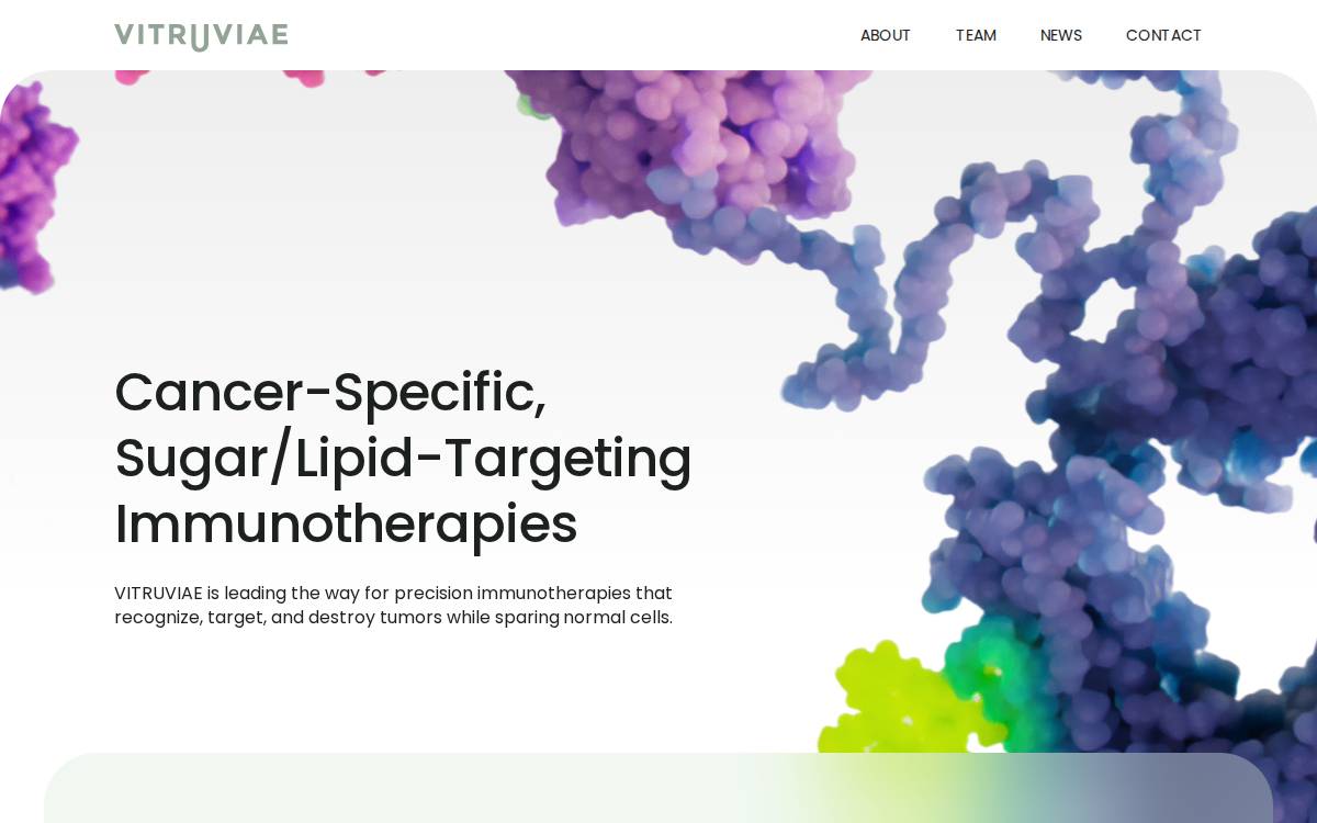 Vitruviae website preview