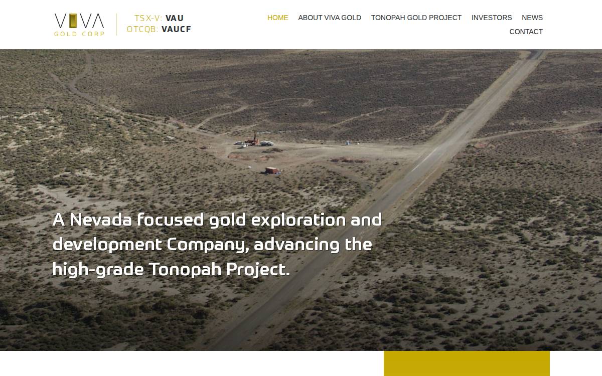 Viva Gold website preview