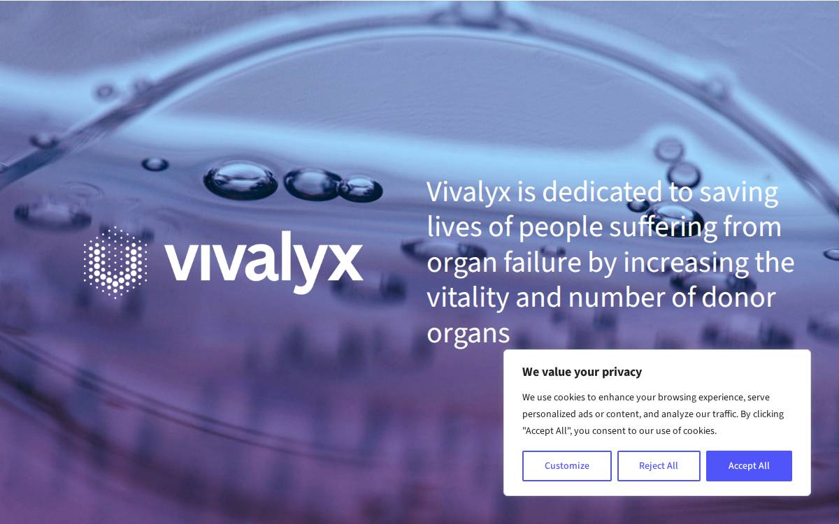 Vivalyx website preview