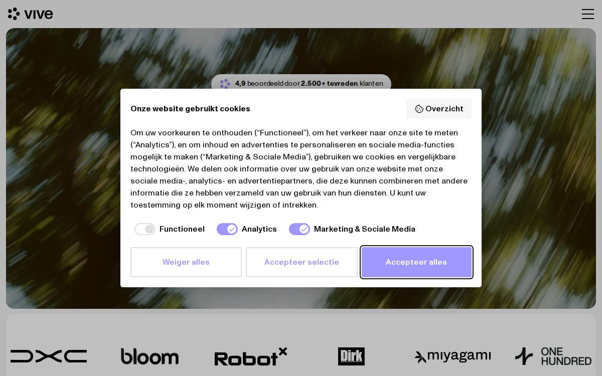 Vive website preview