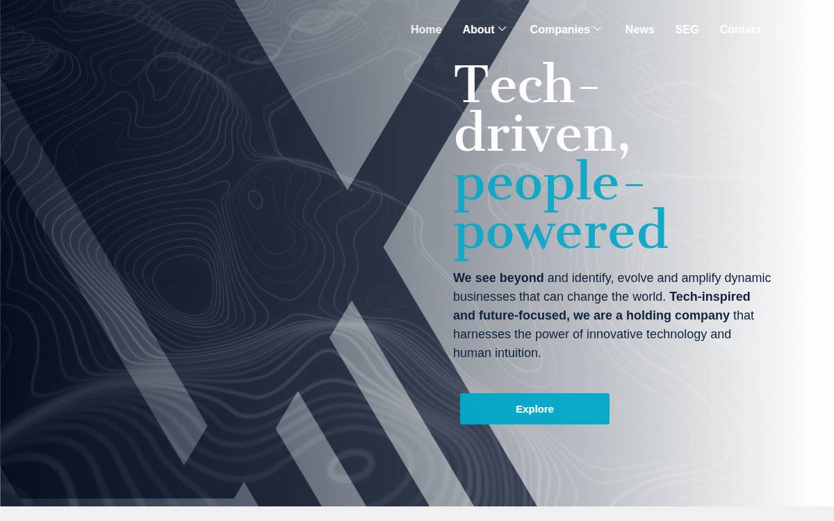 Vivica website preview