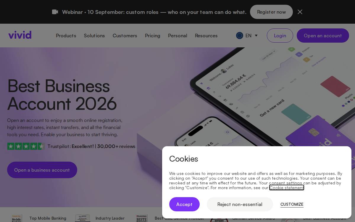 Vivid website preview