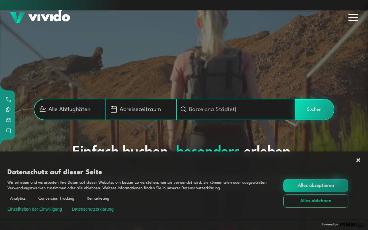 Vivido website preview