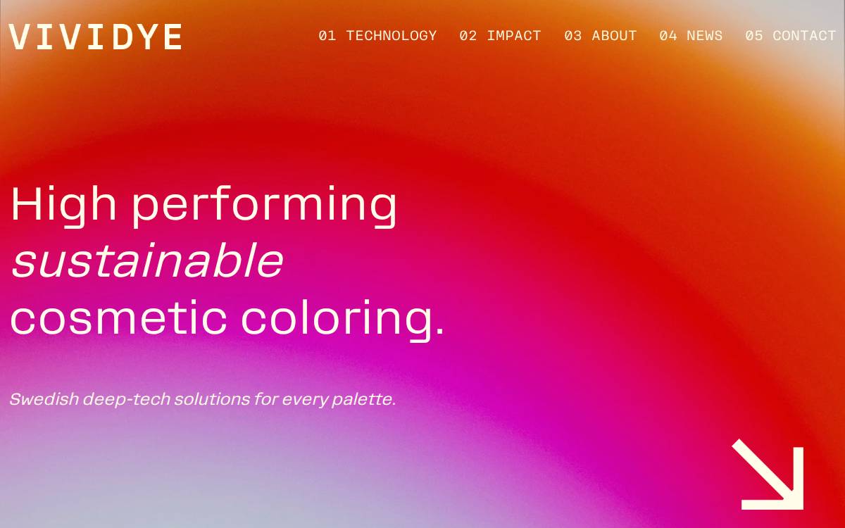 Vividye website preview