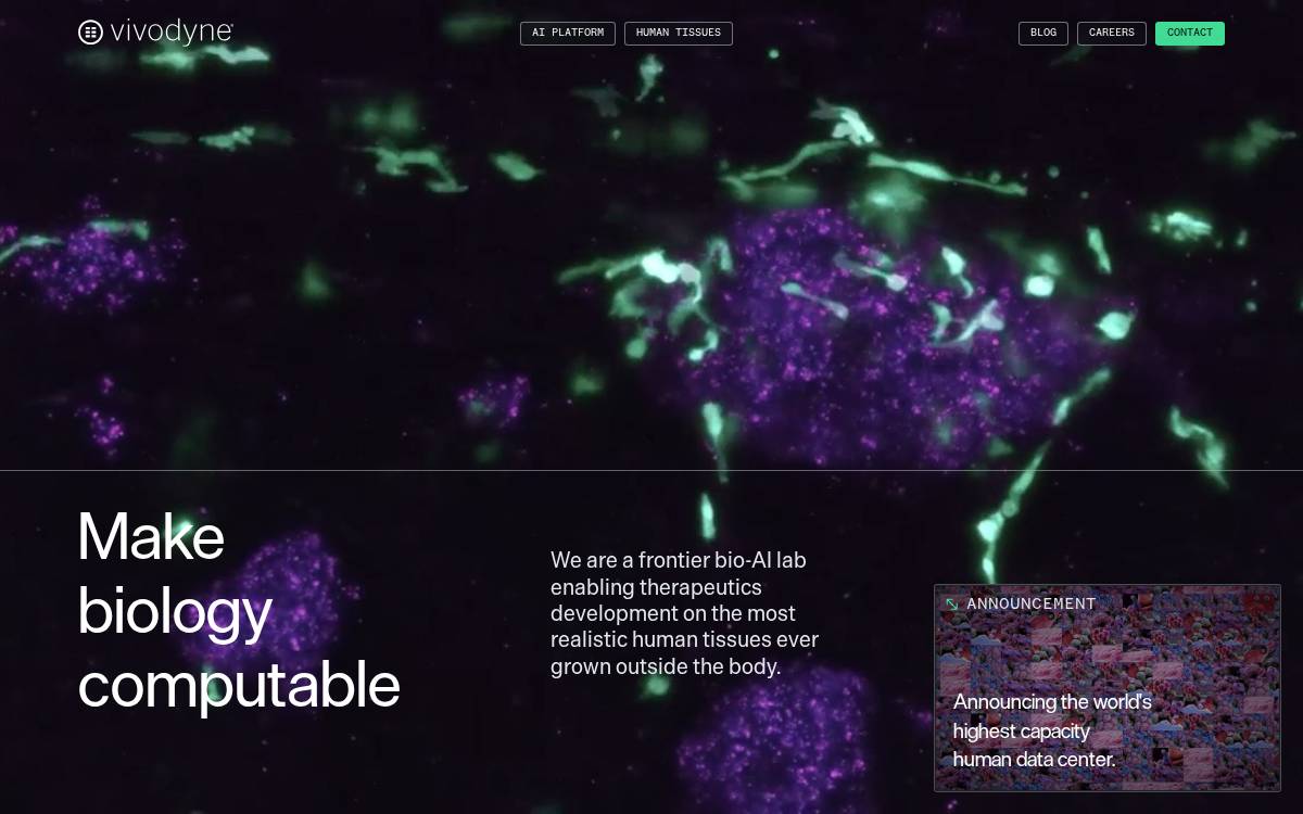 Vivodyne website preview