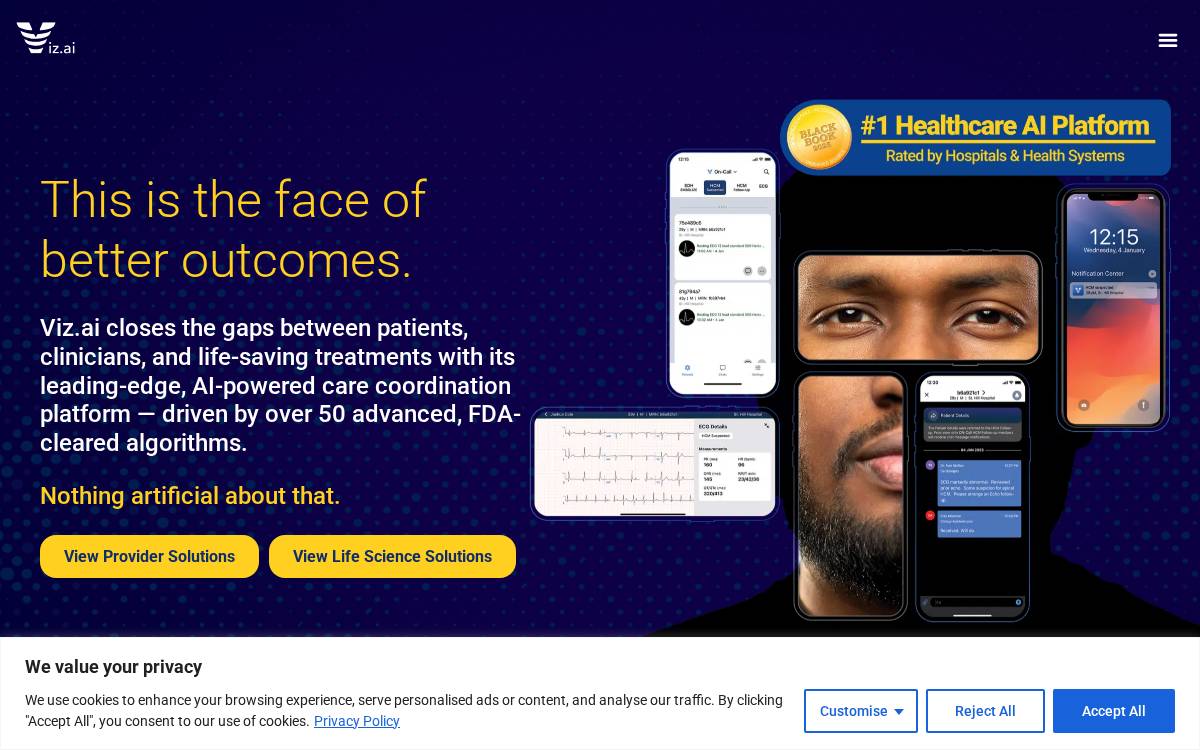 Viz Ai website preview