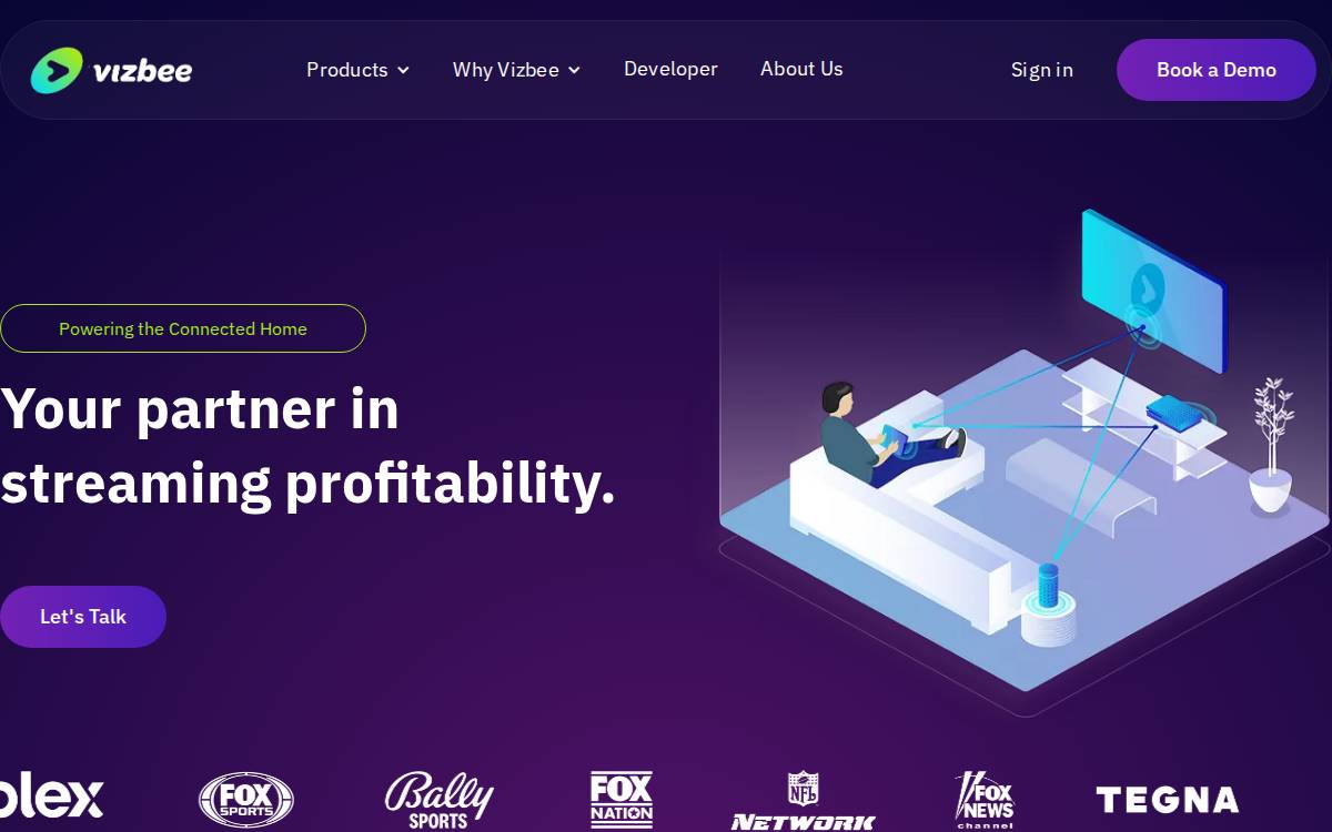 Vizbee website preview