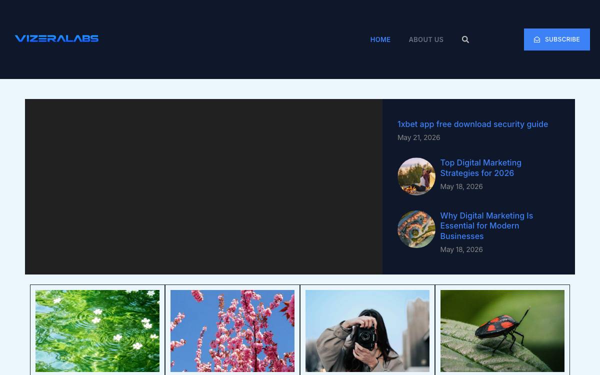 VizeraLabs website preview