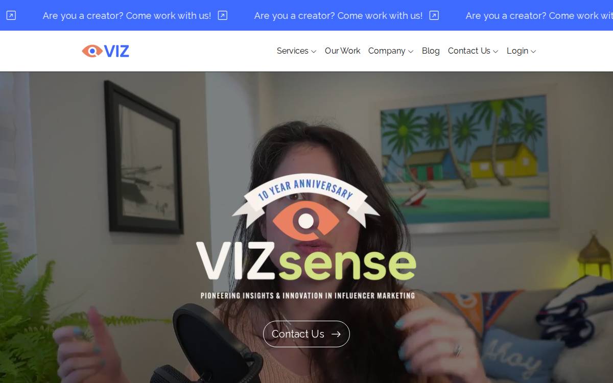 Vizsense website preview