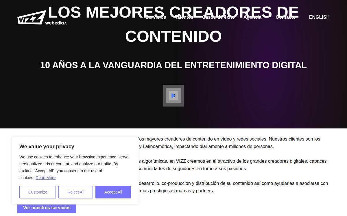 Vizz Agency website preview