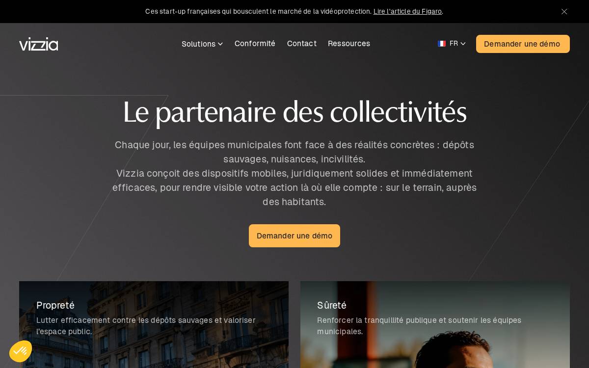Vizzia website preview