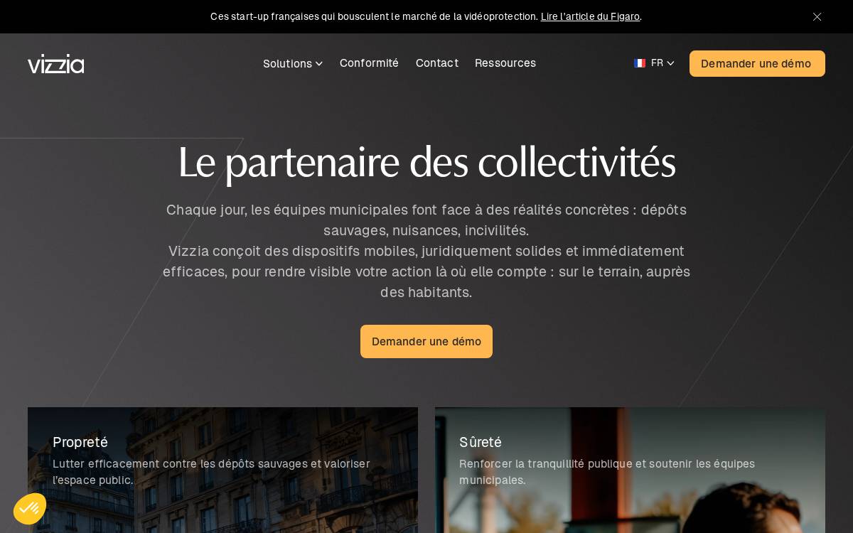 Vizzia website preview