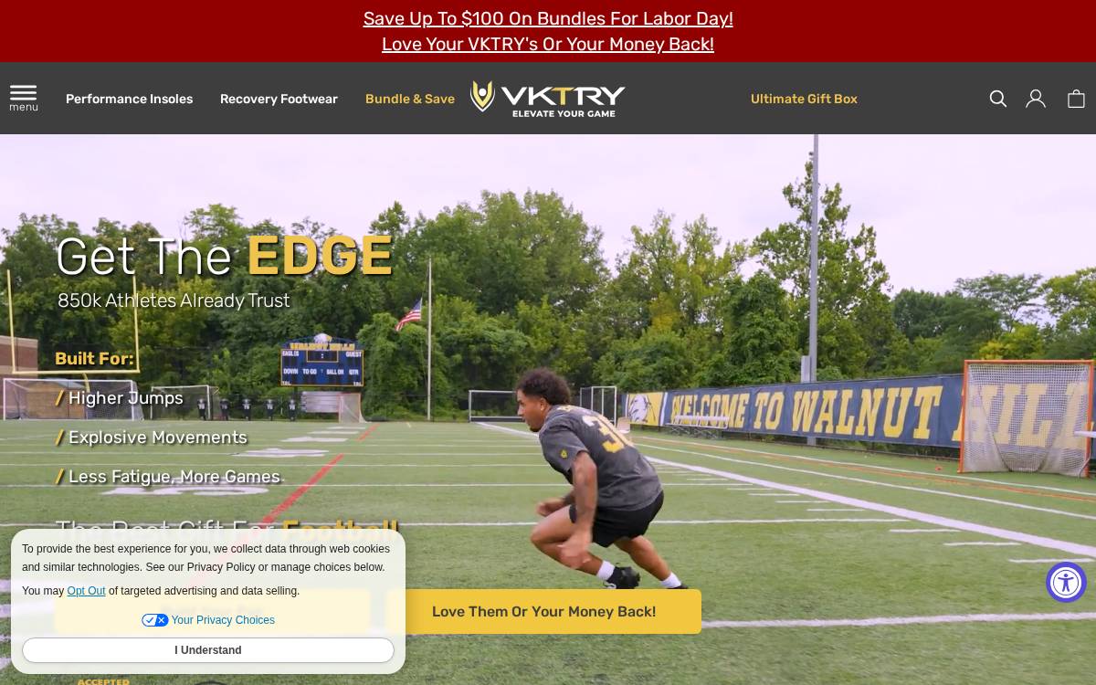 Vktrygear website preview