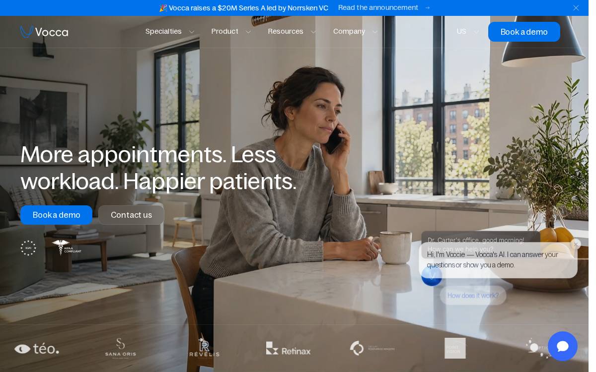 Vocca website preview