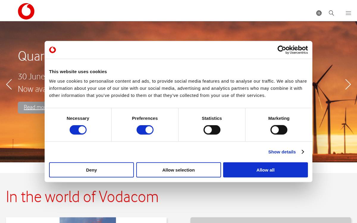 Vodacom website preview