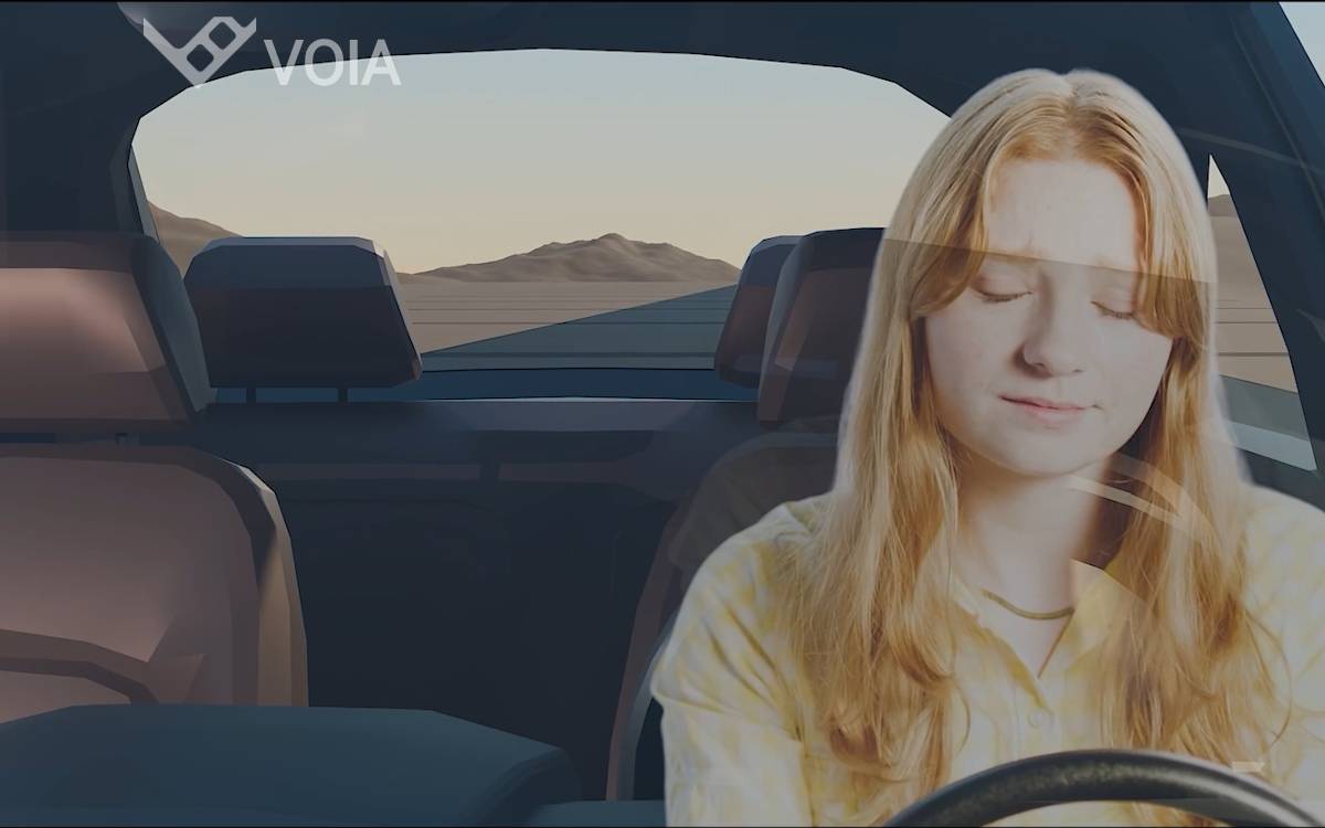 Voia website preview