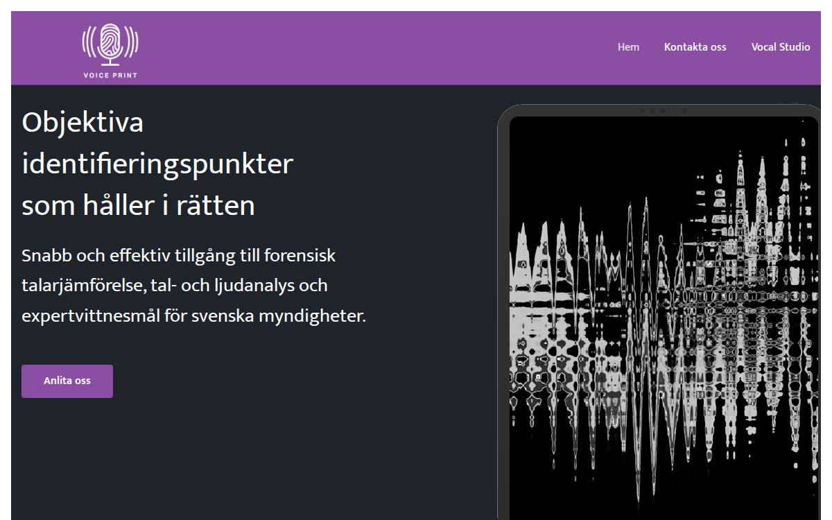 Voice Print website preview