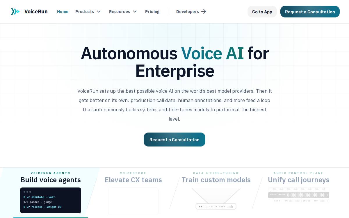Voicerun website preview