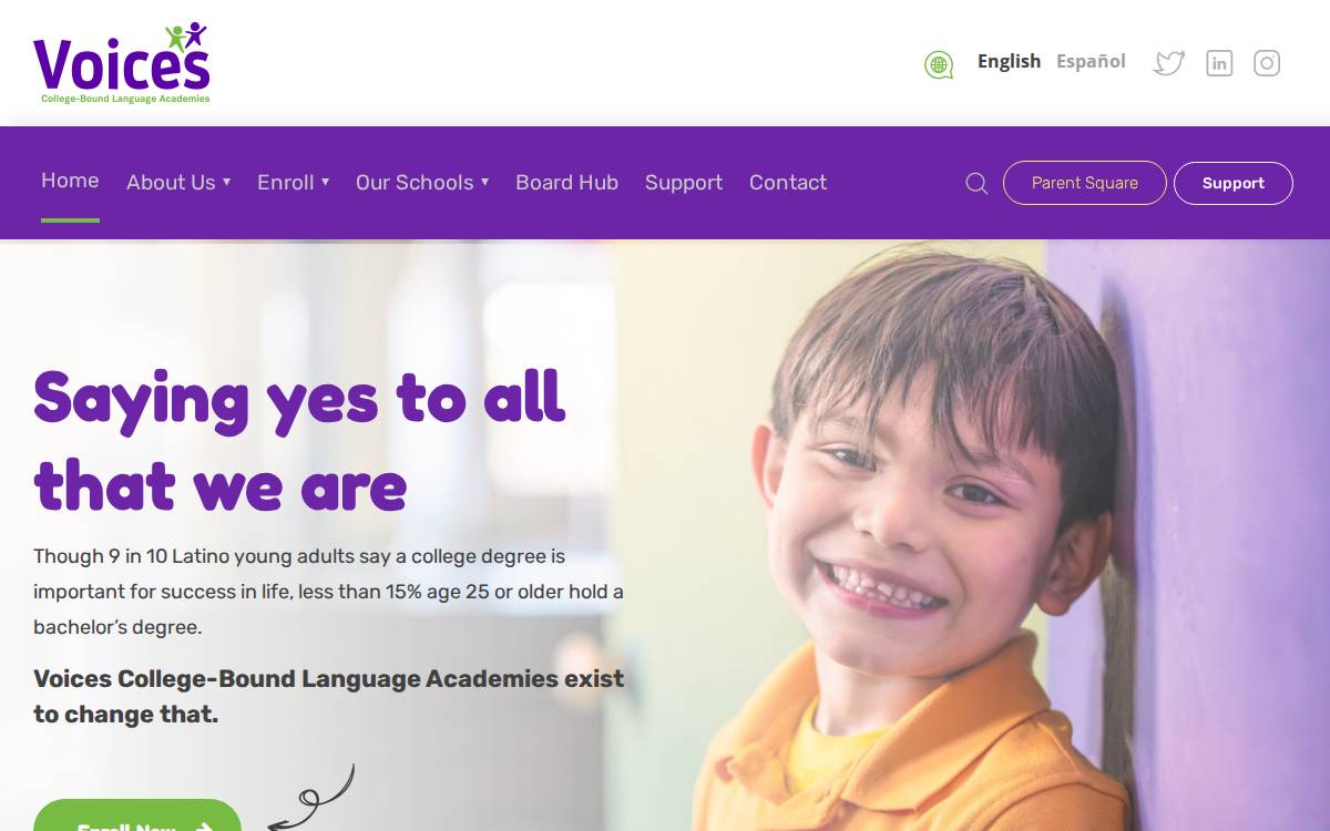 Voicesacademies website preview