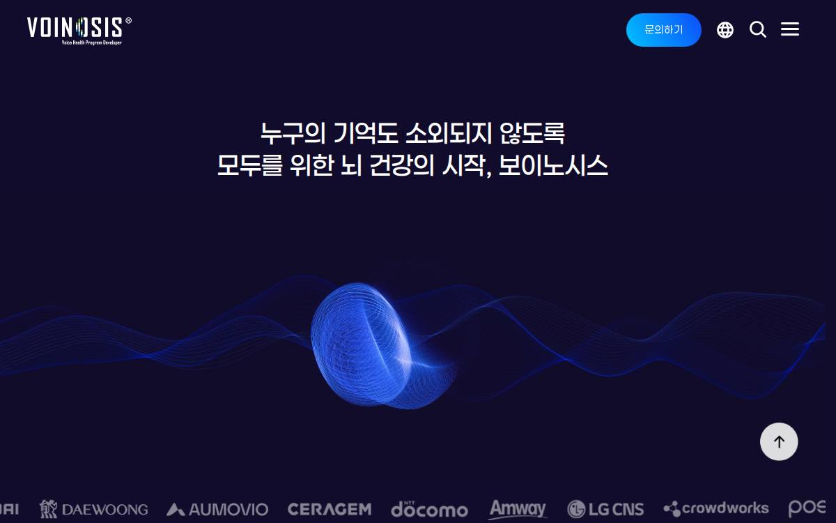 Voinosis website preview