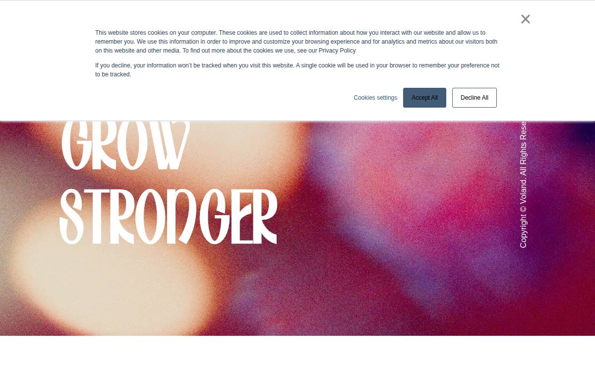 Voland website preview