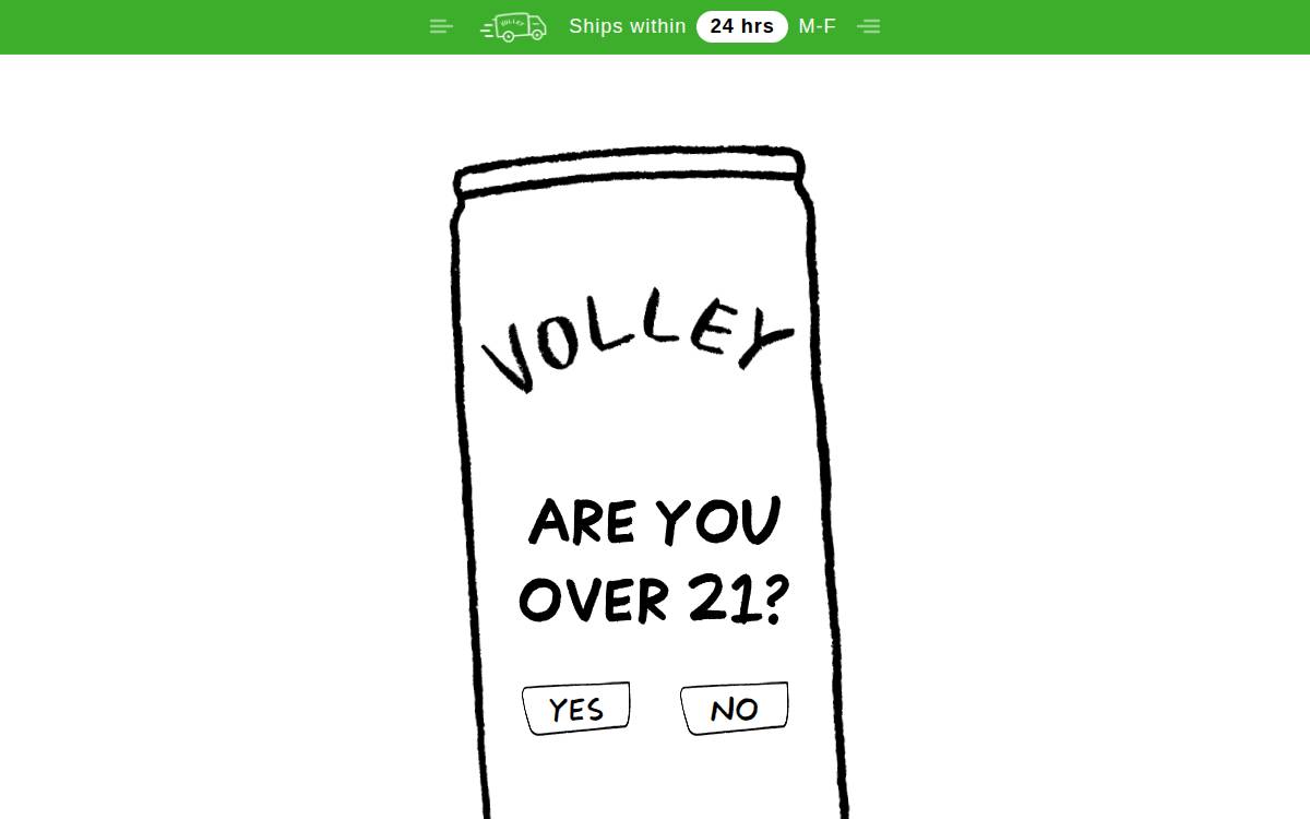 Volley website preview