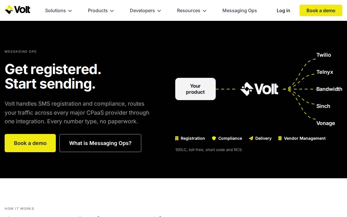 Volt website preview