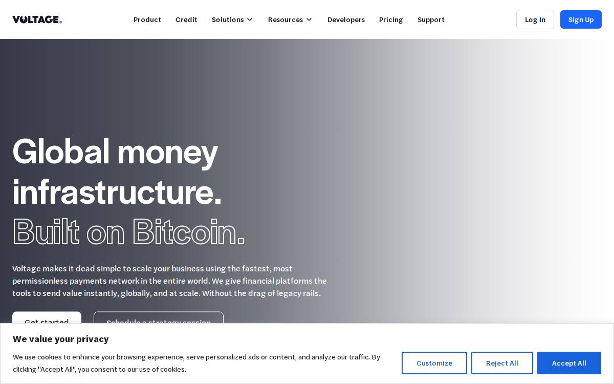 Voltage website preview