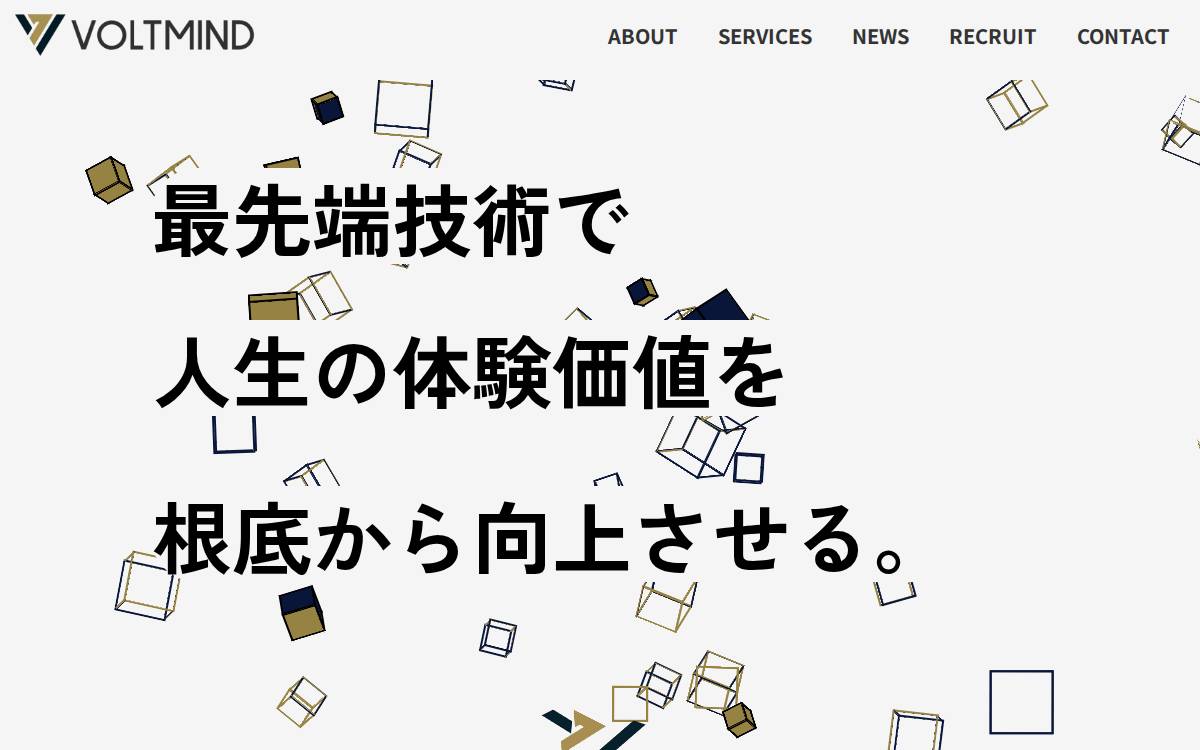 VOLTMIND website preview