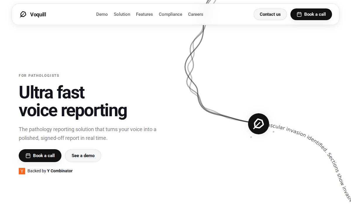 Voquill website preview
