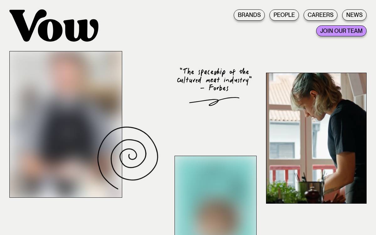 Vow website preview